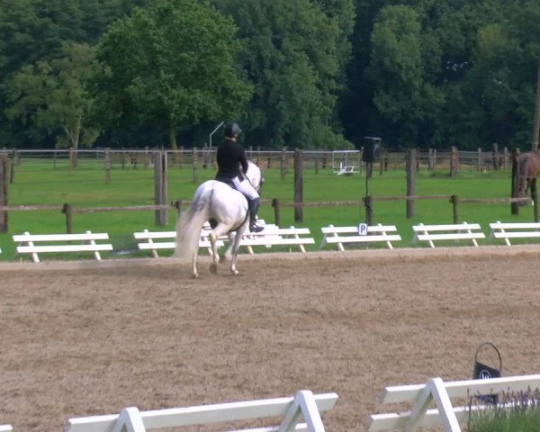Reitturnier Nettetal-Lobberich 2023
