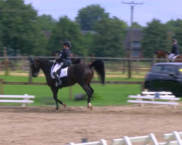 Reitturnier Nettetal-Lobberich 2023