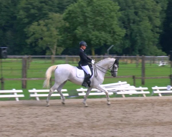 Reitturnier Nettetal-Lobberich 2023