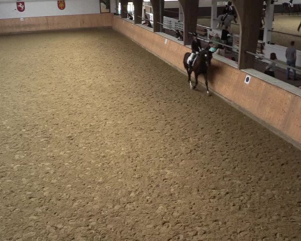 Reitturnier Olfen-Vinnum 2023
