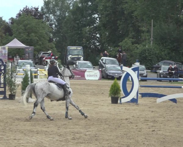 Reitturnier Niederzeuzheim 2023
