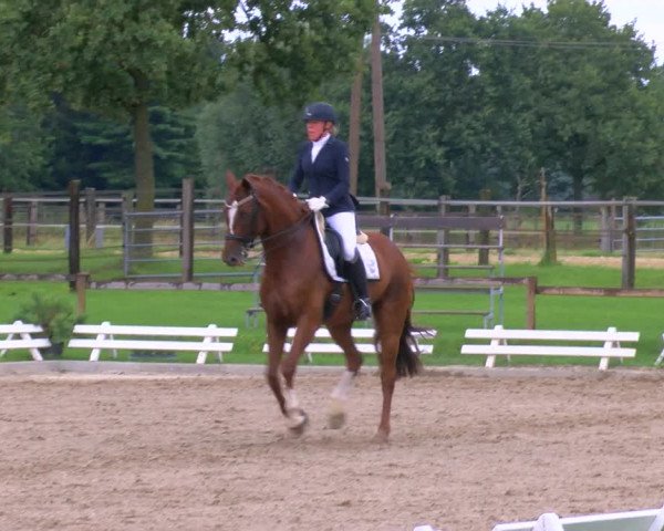 Reitturnier Nettetal-Lobberich 2023