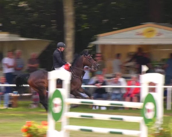 Reitturnier Zobbenitz 2023