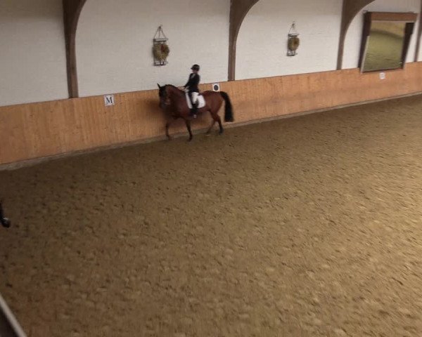 Reitturnier Olfen-Vinnum 2023