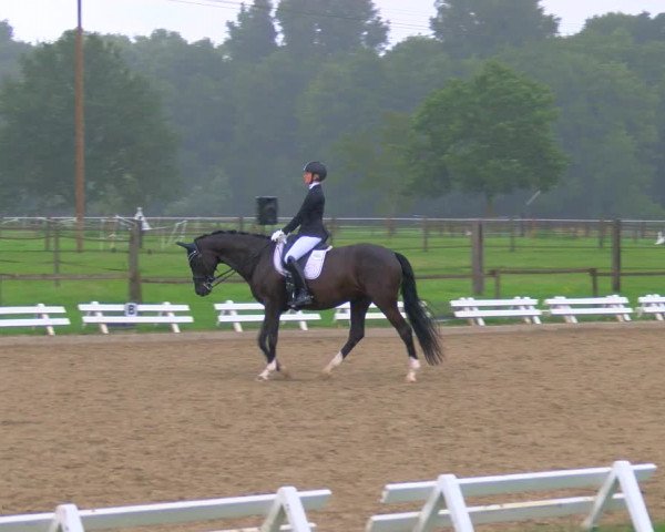 Reitturnier Nettetal-Lobberich 2023
