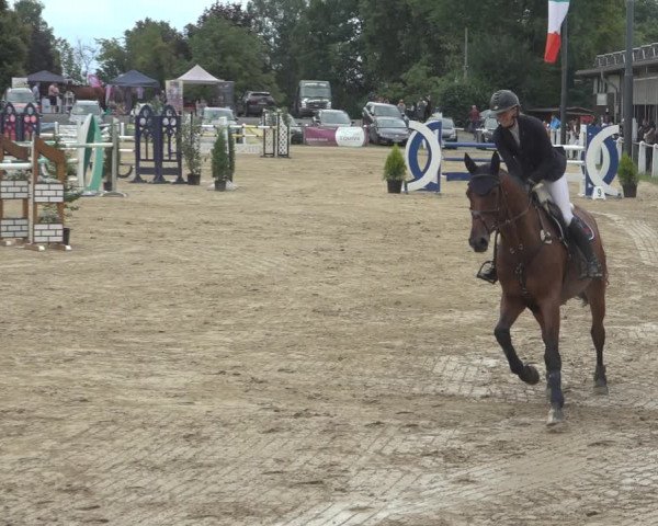 Reitturnier Niederzeuzheim 2023