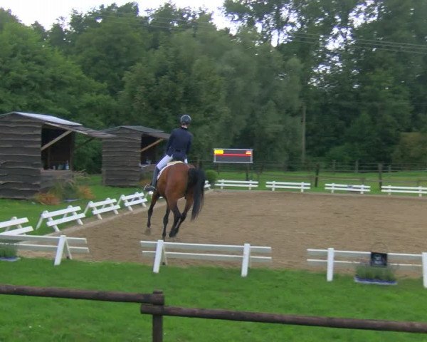 Reitturnier Nettetal-Lobberich 2023