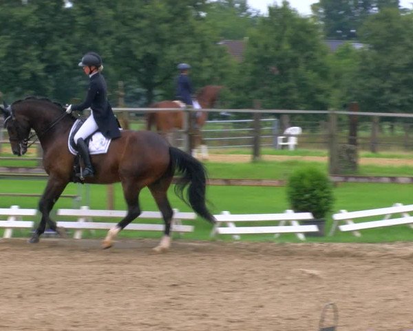 Reitturnier Nettetal-Lobberich 2023