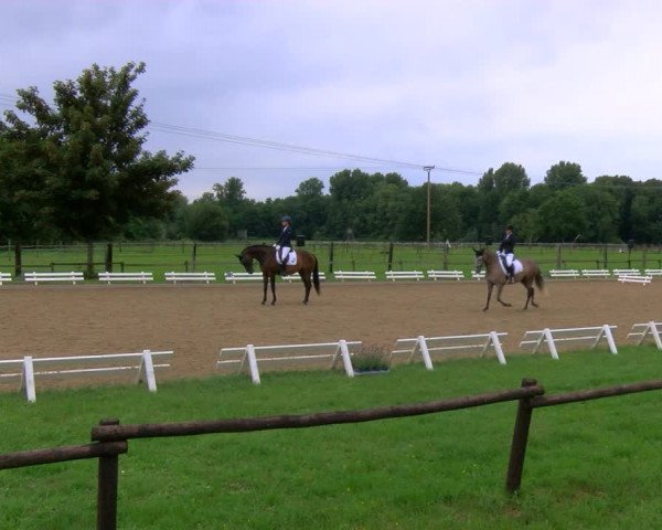 Reitturnier Nettetal-Lobberich 2023