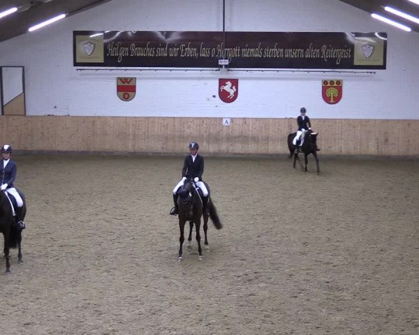Reitturnier Olfen-Vinnum 2023