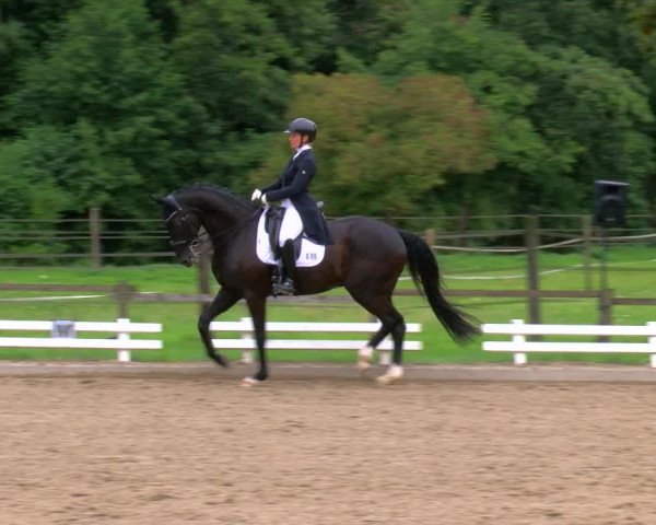 Reitturnier Nettetal-Lobberich 2023