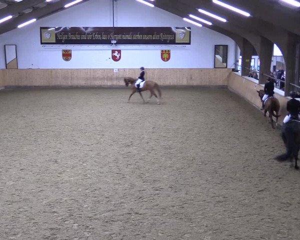 Reitturnier Olfen-Vinnum 2023