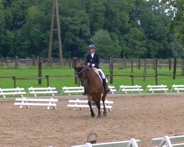 Reitturnier Nettetal-Lobberich 2023