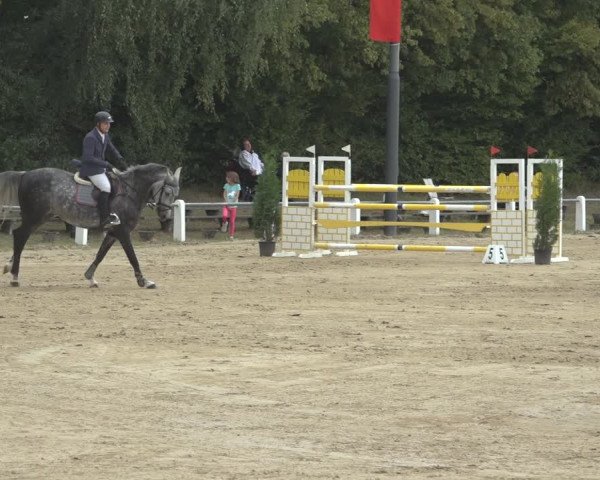 Reitturnier Niederzeuzheim 2023
