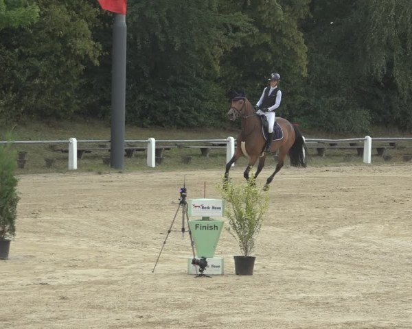 Reitturnier Niederzeuzheim 2023