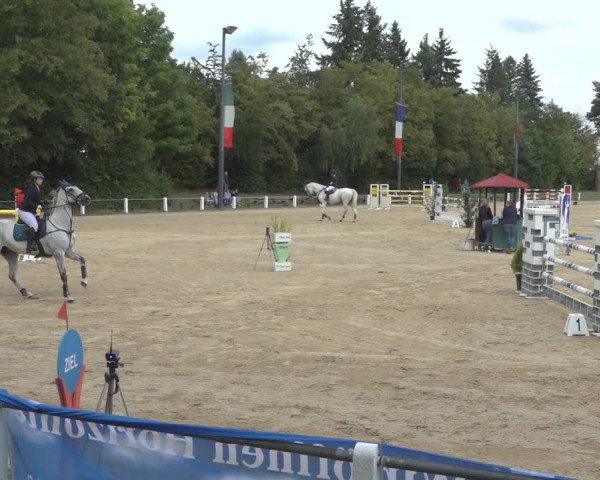 Reitturnier Niederzeuzheim 2023