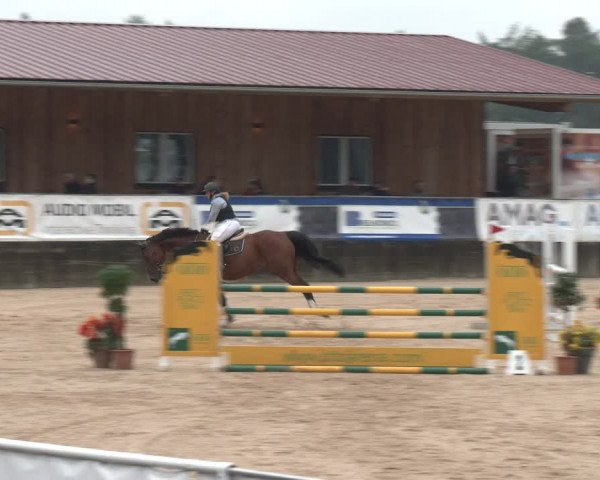 Reitturnier Ranshofen - Braunau am Inn 2023