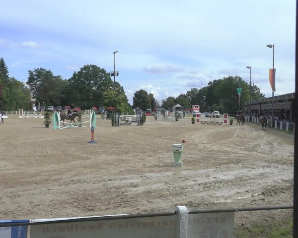 Reitturnier Niederzeuzheim 2023
