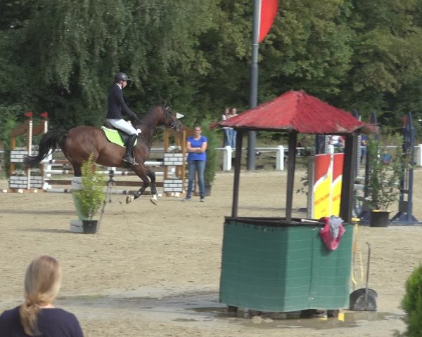 Reitturnier Niederzeuzheim 2023