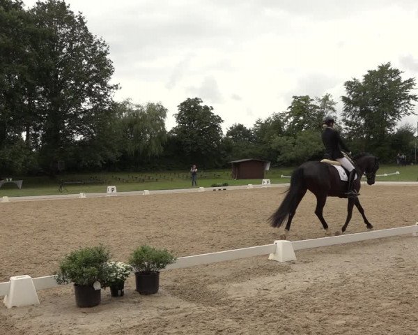 Reitturnier Niederzeuzheim 2023