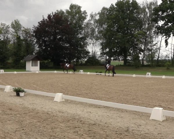 Reitturnier Niederzeuzheim 2023