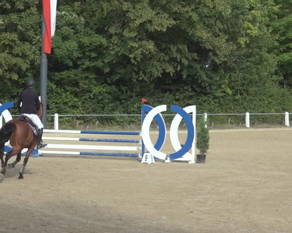 Reitturnier Niederzeuzheim 2023
