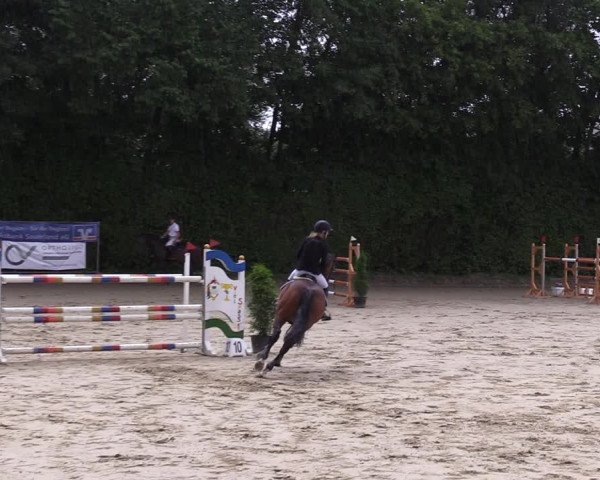 Reitturnier Arnsberg-Holzen 2023