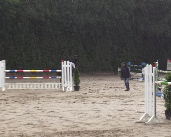 Reitturnier Arnsberg-Holzen 2023