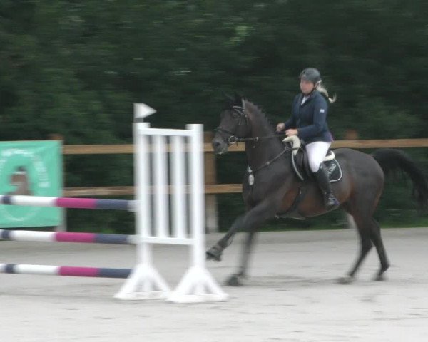 Reitturnier Alvern 2023