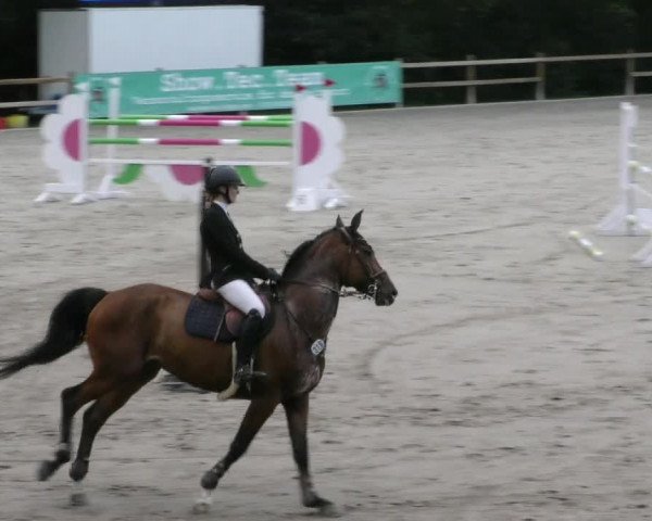 Reitturnier Alvern 2023