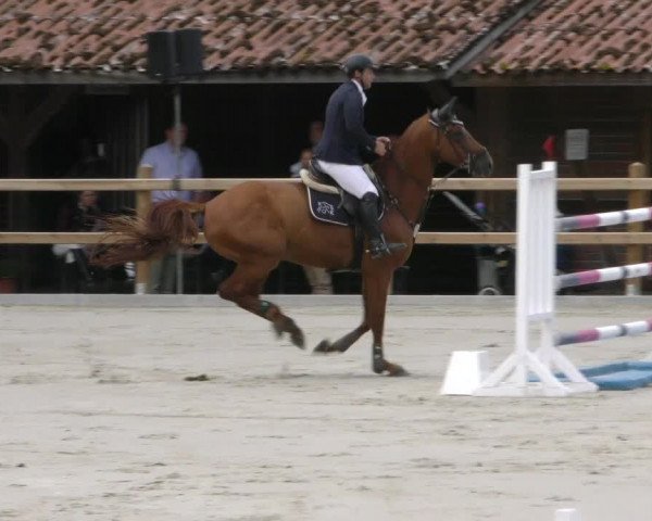 Reitturnier Alvern 2023