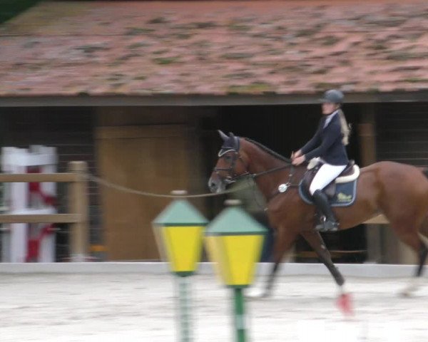 Reitturnier Alvern 2023