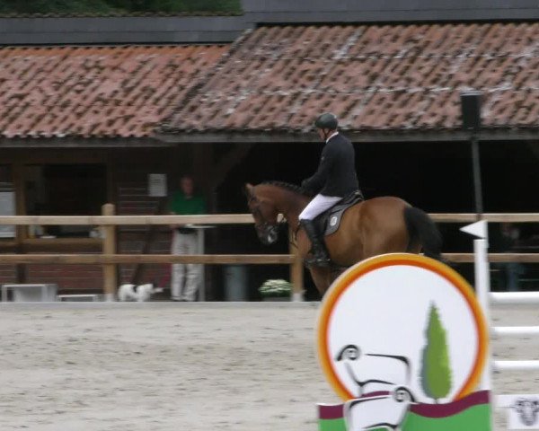 Reitturnier Alvern 2023