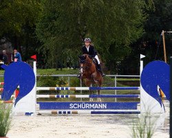 jumper Silvi 15 (Pony without race description, 2013, from Etoile de Lynx)