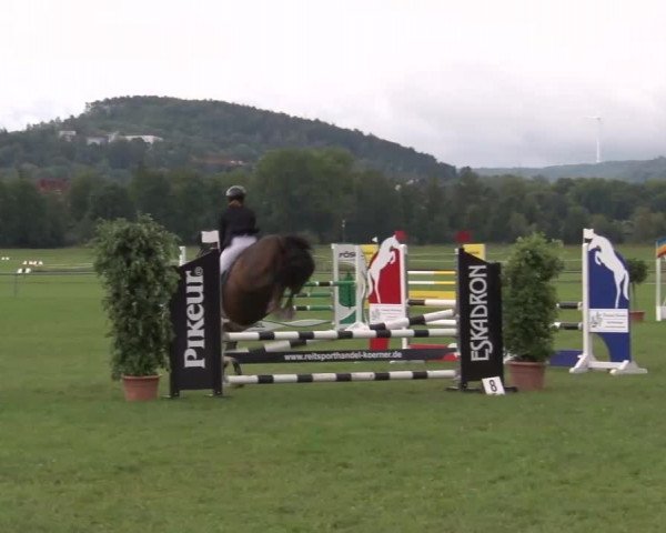 Reitturnier Bad Kissingen 2023