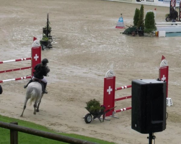 Reitturnier Wädenswil 2023