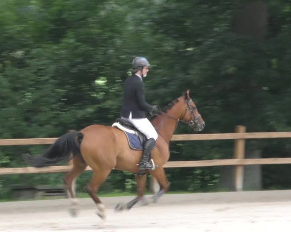 Reitturnier Alvern 2023