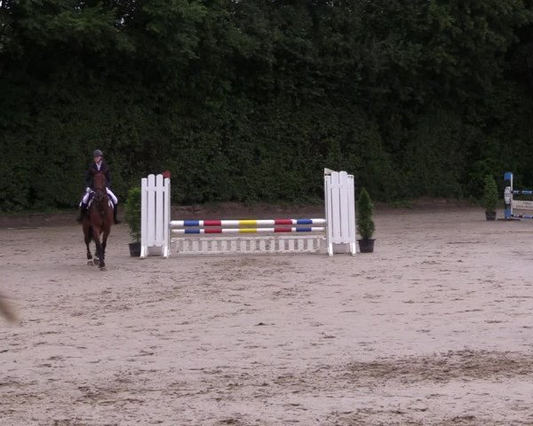 Reitturnier Arnsberg-Holzen 2023