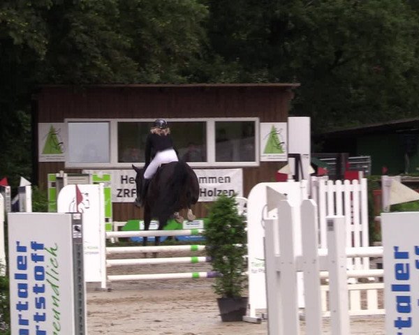 Reitturnier Arnsberg-Holzen 2023