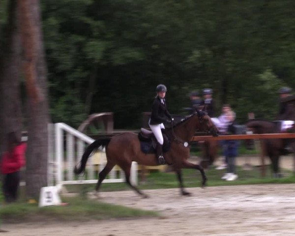 Reitturnier Arnsberg-Holzen 2023