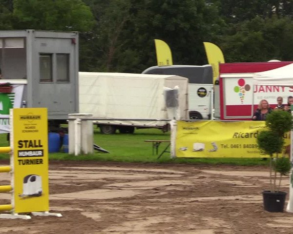 Reitturnier Sollerup 2023
