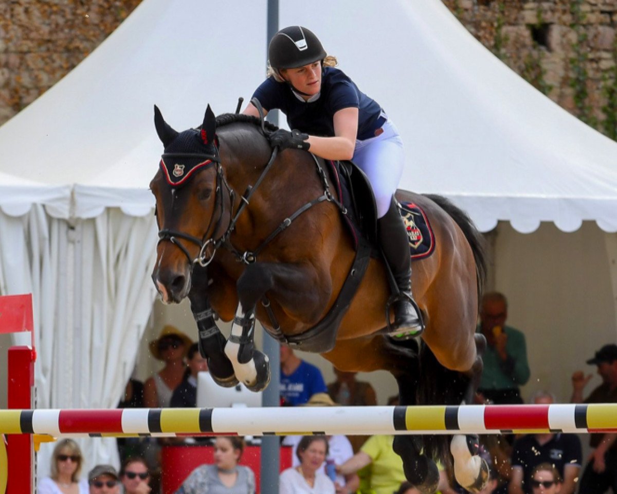 Springpferd Unser Prinz KRF (Selle Français, 2008, von Calvaro Z)