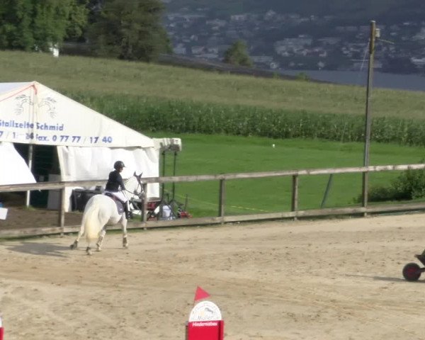 Reitturnier Wädenswil 2023