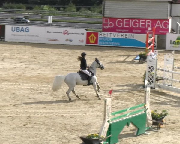 Reitturnier Wädenswil 2023