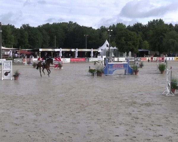 Reitturnier Olfen-Vinnum 2023