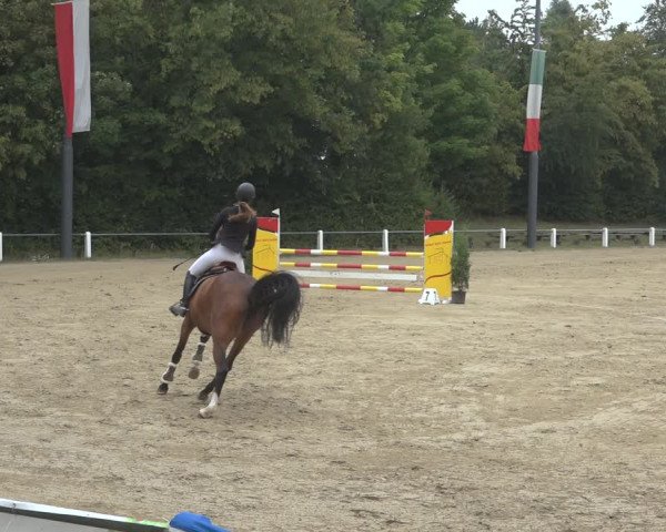 Reitturnier Niederzeuzheim 2023
