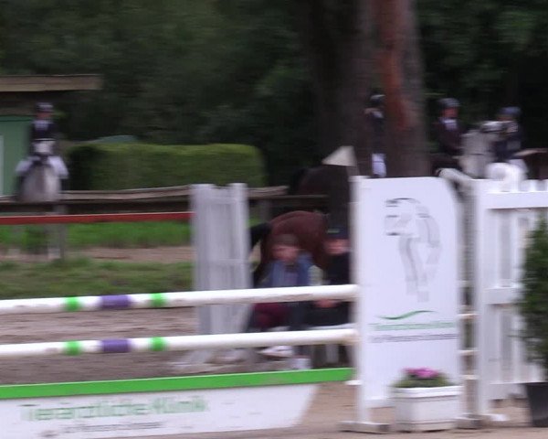 Reitturnier Arnsberg-Holzen 2023