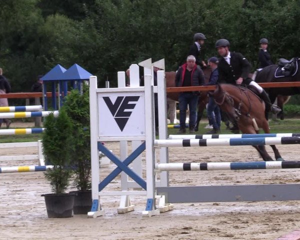 Reitturnier Arnsberg-Holzen 2023