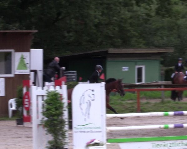 Reitturnier Arnsberg-Holzen 2023