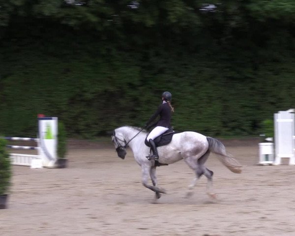 Reitturnier Arnsberg-Holzen 2023